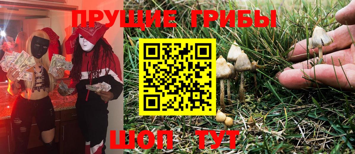Псилоцибиновые грибы MAGIC MUSHROOMS  Вход с VPN  наркота  Корсаков  Галлюциногенные грибы прущие грибы 